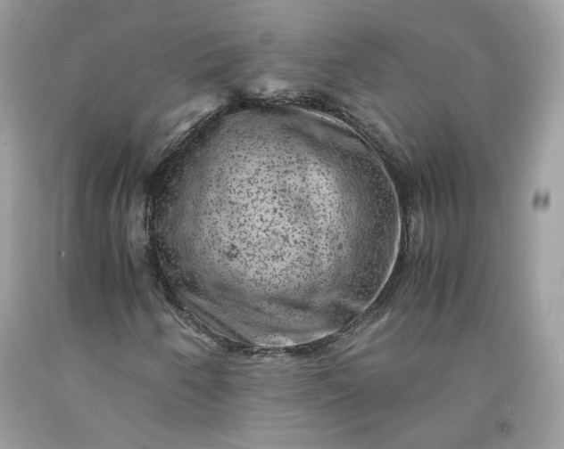 X0000091651250200709060951