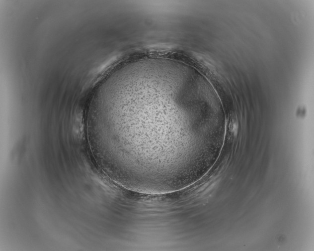 X0000091651252200709060951