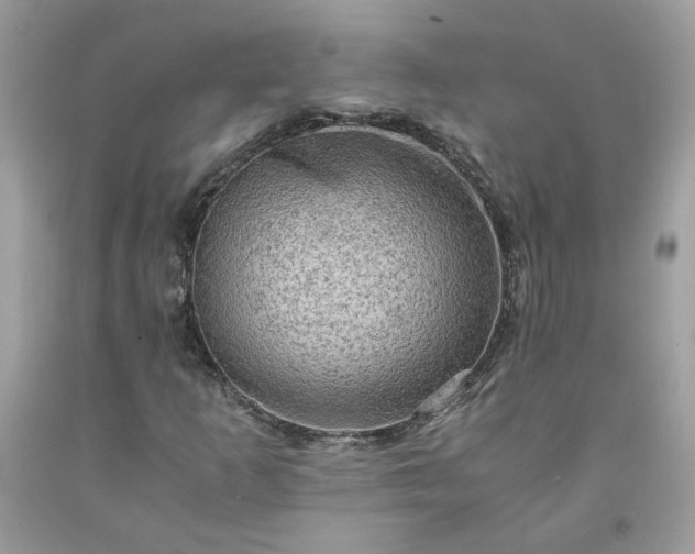 X0000091651253200709060951