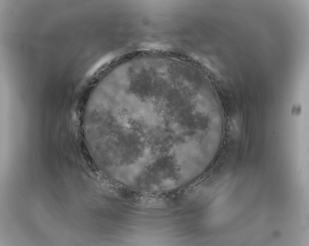 X0000091651254200709060951