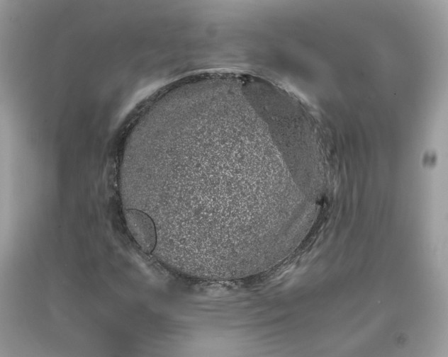 X0000091651255200709060951