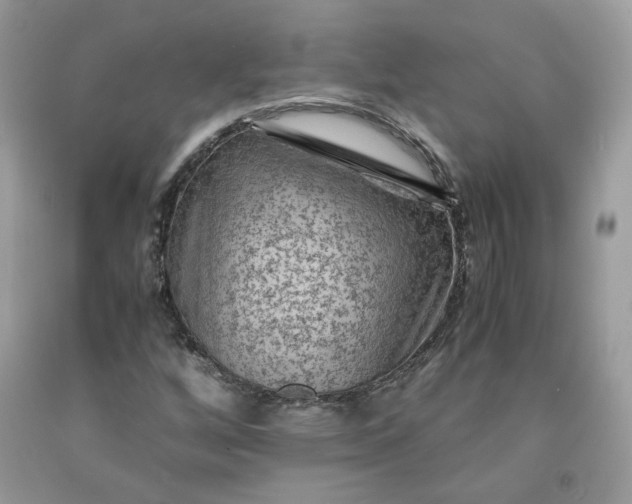 X0000091651256200709060951