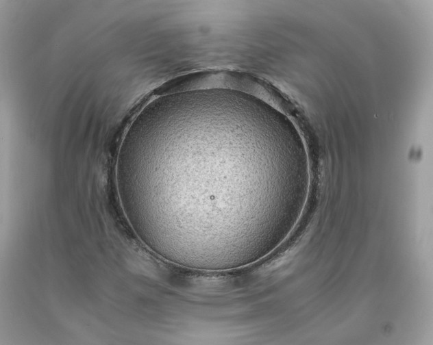 X0000091651257200709060951