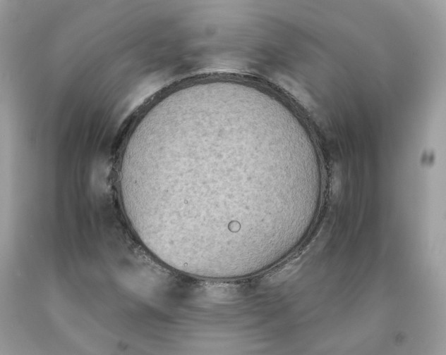 X0000091651258200709060951