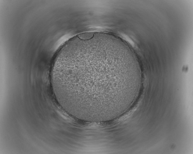 X0000091651259200709060951