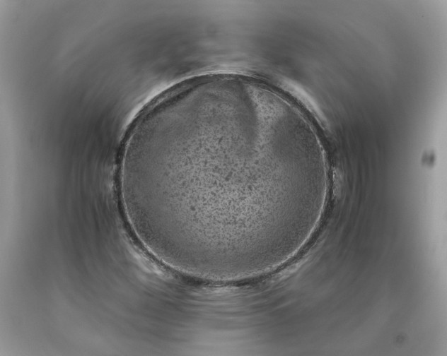 X0000091651260200709060951