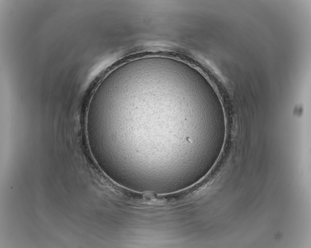 X0000091651261200709060951