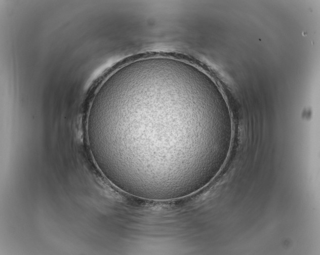 X0000091651262200709060951