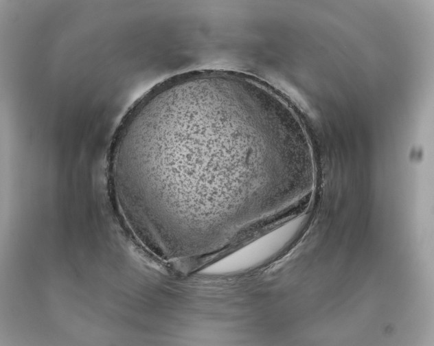 X0000091651264200709060951