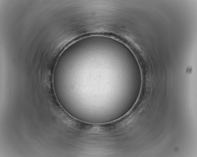 X0000091651265200709060951