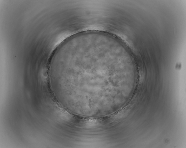 X0000091651266200709060951