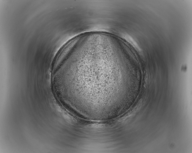 X0000091651268200709060951