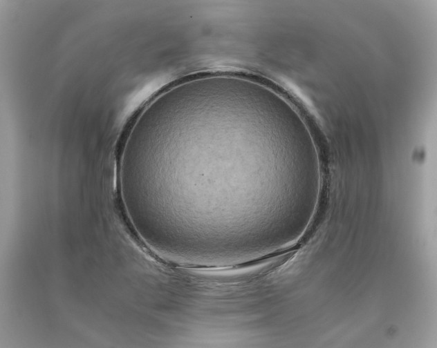 X0000091651269200709060951