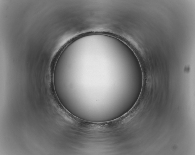 X0000091651270200709060951