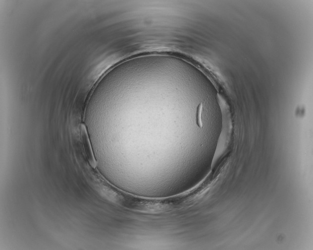 X0000091651273200709060951