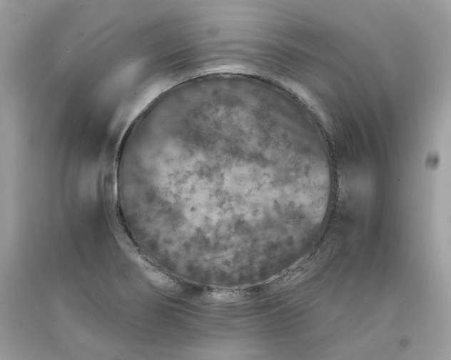 X0000091651274200709060951