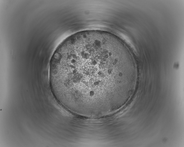 X0000091651275200709060951