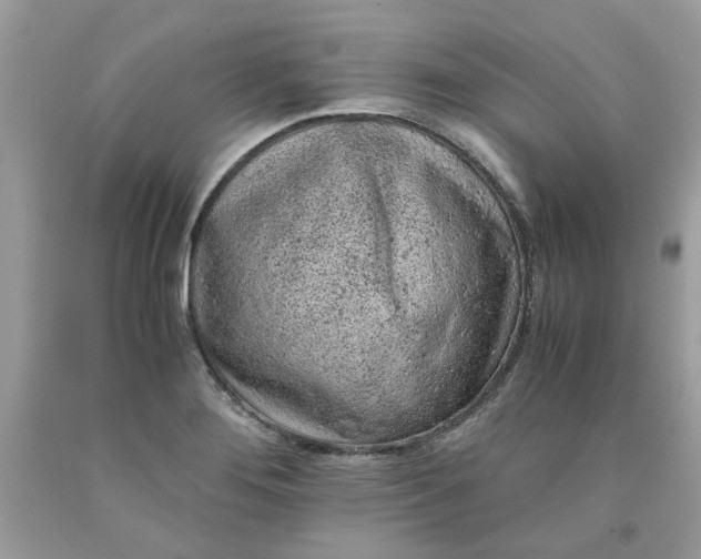 X0000091651276200709060951