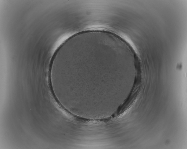 X0000091651277200709060951