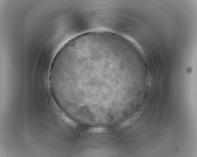 X0000091651278200709060951