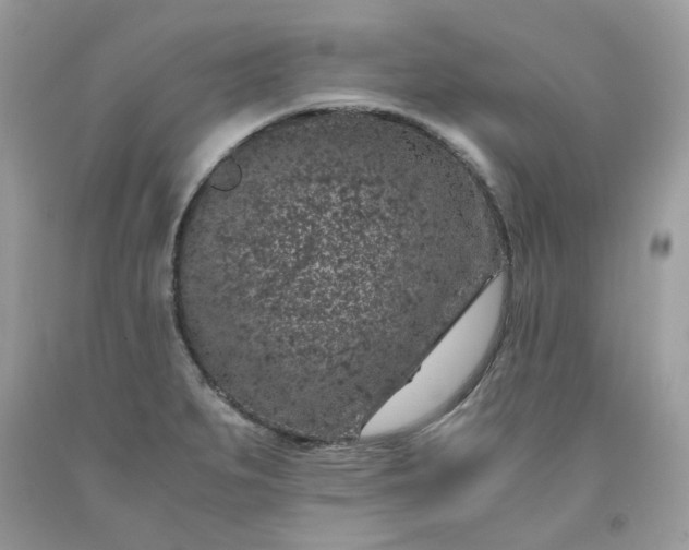 X0000091651279200709060951