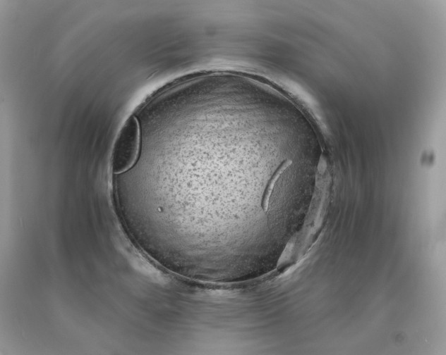 X0000091651280200709060951