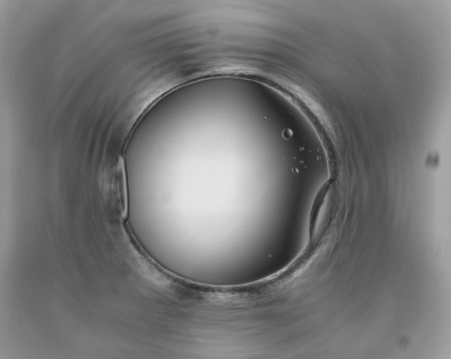 X0000091651281200709060951