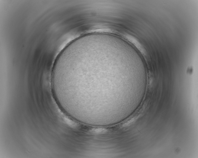 X0000091651282200709060951