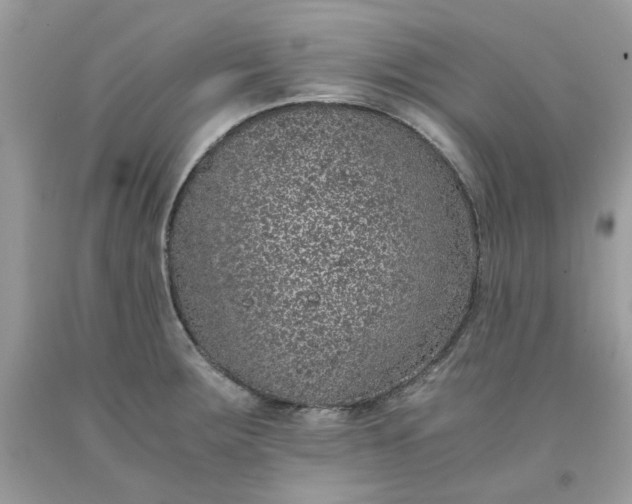 X0000091651283200709060951