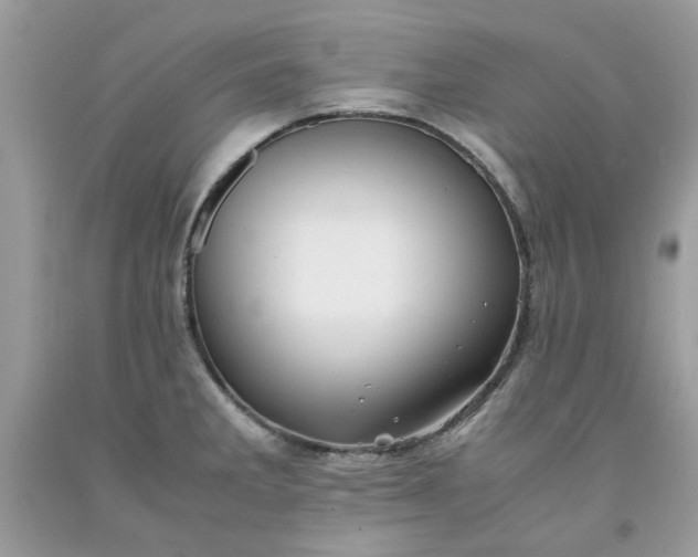 X0000091651285200709060951