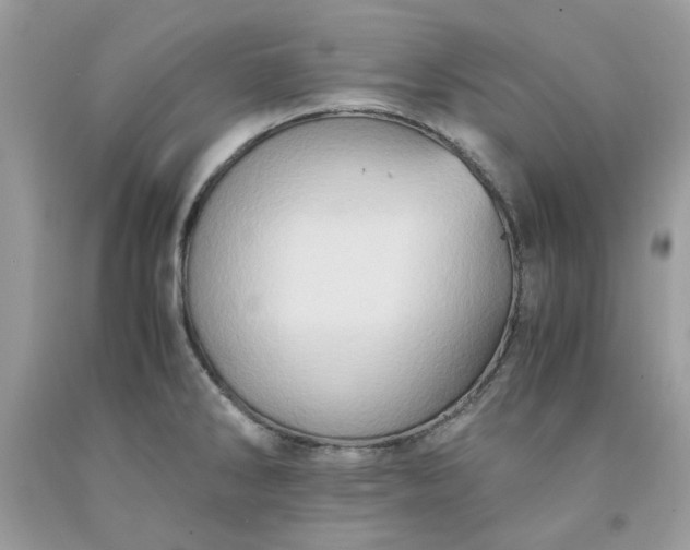 X0000091651286200709060951