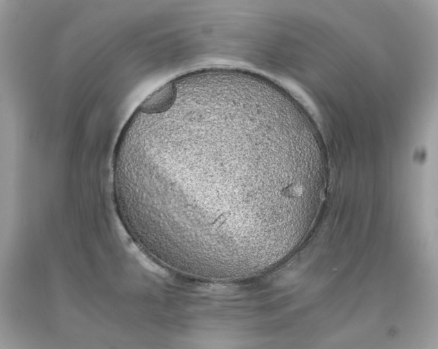 X0000091651287200709060951