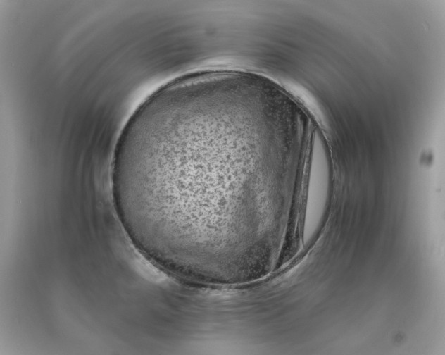 X0000091651288200709060951