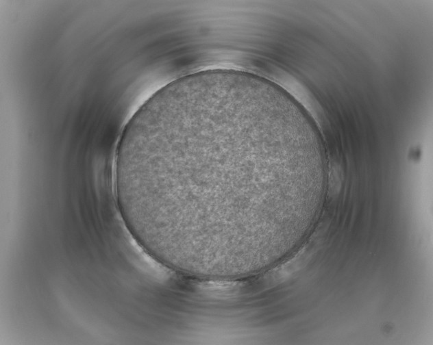 X0000091651290200709060951