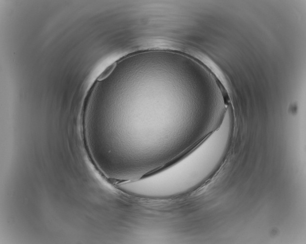 X0000091651293200709060951