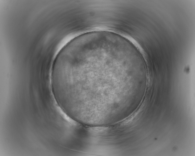 X0000091651294200709060951