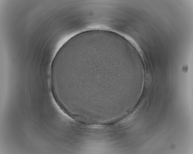 X0000091651295200709060951