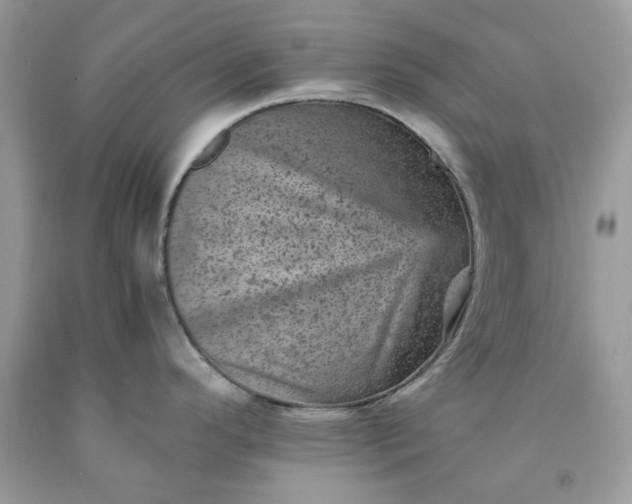 X0000091651296200709060951