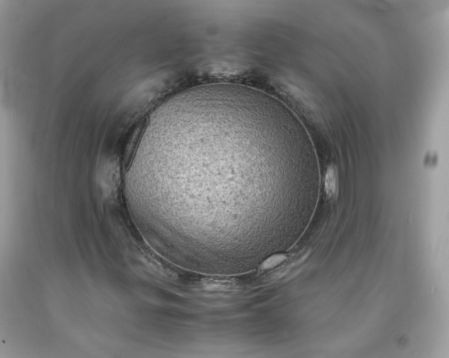 X0000091651299200709060950