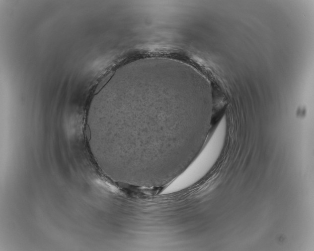 X0000091651300200709060950