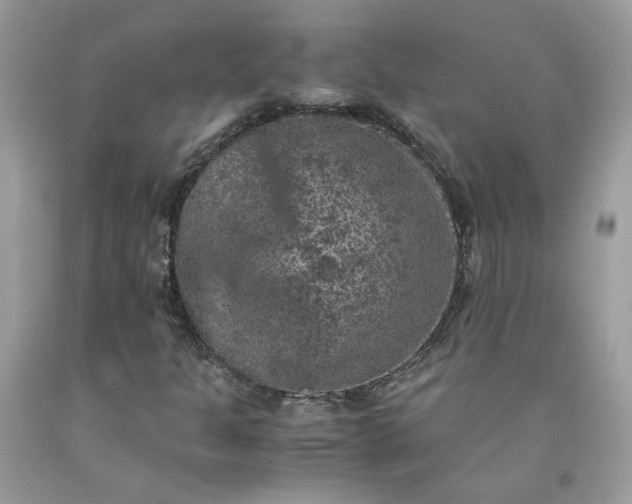 X0000091651301200709060950