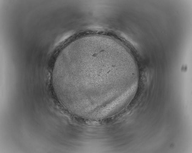 X0000091651302200709060950