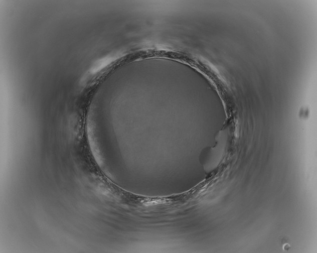 X0000091651303200709060950