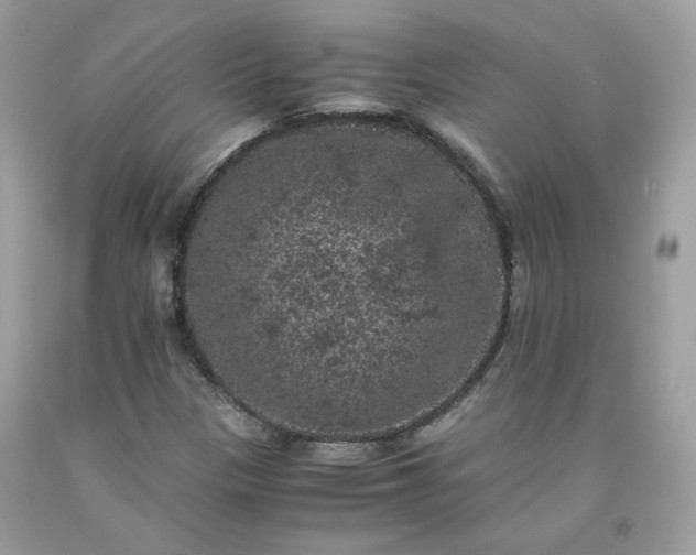 X0000091651305200709060950