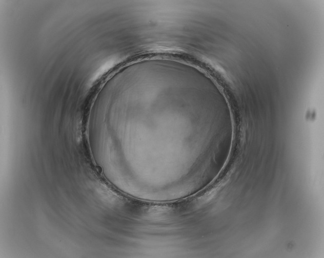 X0000091651306200709060950