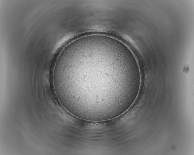 X0000091651307200709060950