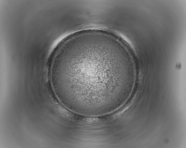 X0000091651310200709060950