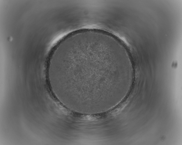 X0000091651311200709060950