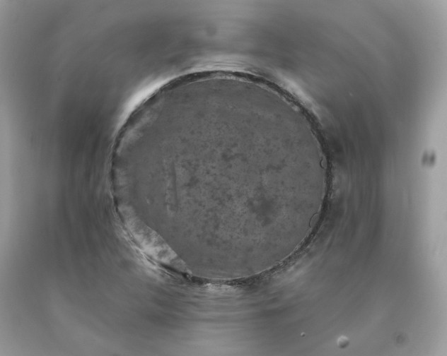 X0000091651312200709060950