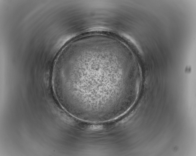 X0000091651313200709060950